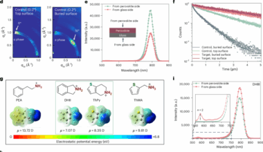 Spontaneous 2D perovskite formation at the buried interface of perovskite solar cells enhances crystallization uniformity and defect passivation
