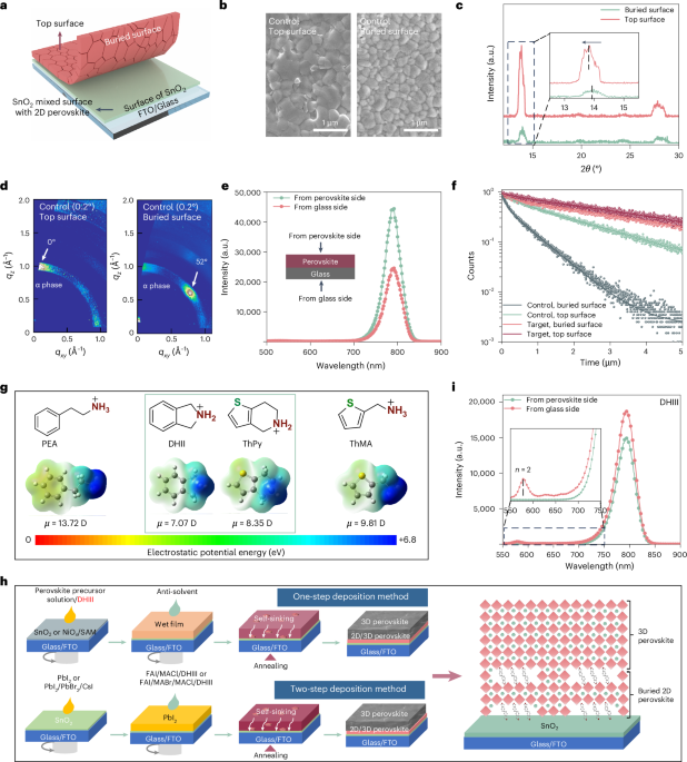 Spontaneous 2D perovskite formation at the buried interface of perovskite solar cells enhances crystallization uniformity and defect passivation