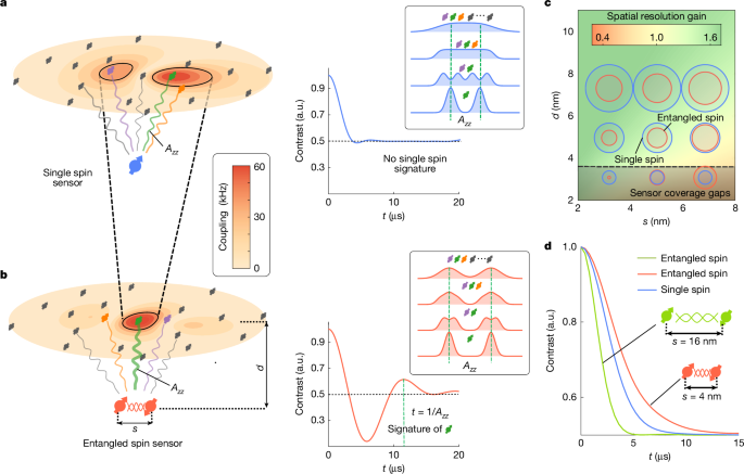 Entanglement-enhanced nanoscale single-spin sensing | Nature