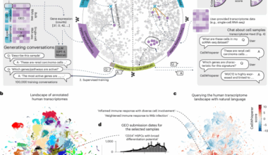 Multimodal learning enables chat-based exploration of single-cell data