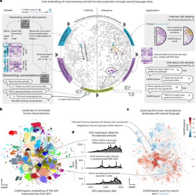 Multimodal learning enables chat-based exploration of single-cell data
