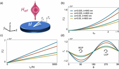 Faraday effects emerging from the optical magnetic field