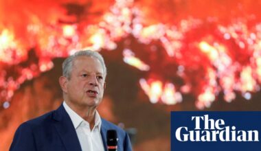 Al Gore wonders if ‘bullying’ Trump prompted Bill Gates to backtrack on climate | Al Gore