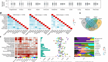 Organ-specific proteomic aging clocks predict disease and longevity across diverse populations