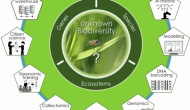 Unknown Germany - An integrative biodiversity discovery program