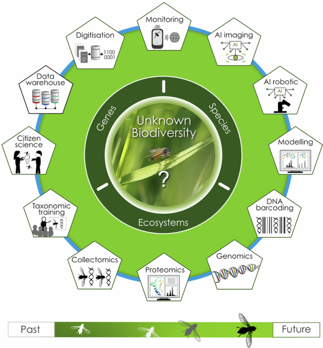 Unknown Germany - An integrative biodiversity discovery program