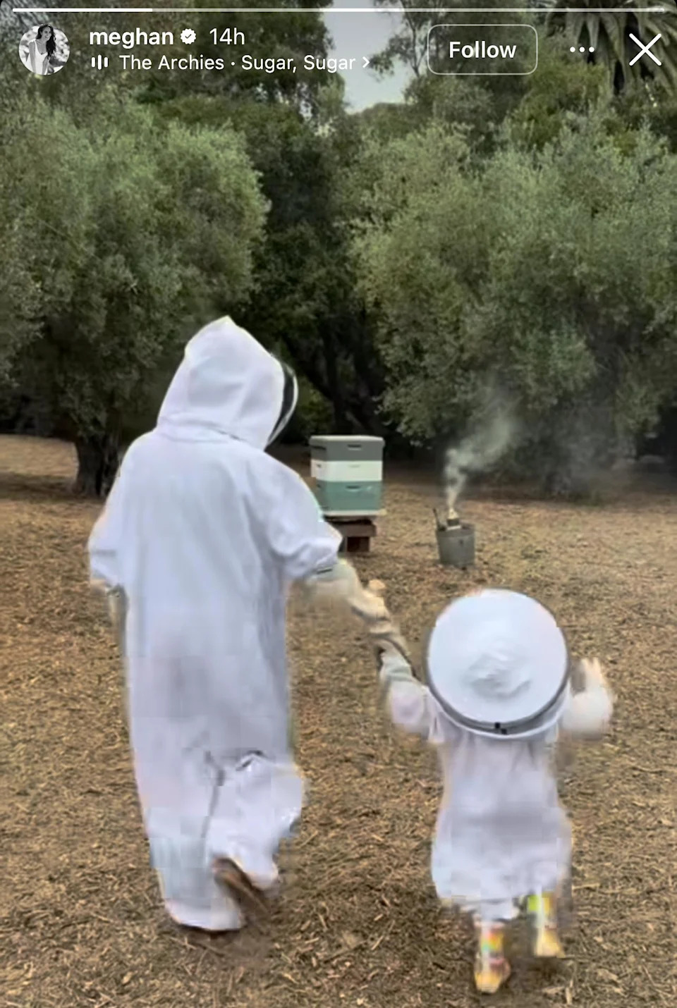 Meghan Markle goes beekeeping with daughter