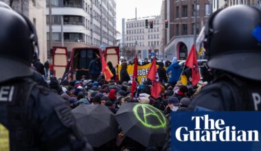 AfD hails US ban on European leftwing groups as historians fear anti-fascist crackdown | The far right