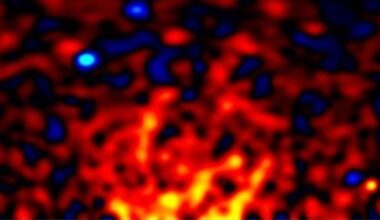 A red, yellow and blue blurry structure.