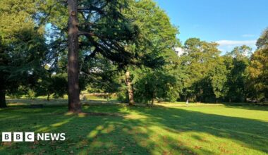 A park in St Georges, Bristol. It has extensive lawns with a number of large trees. It is sunny, with leaves on the grass. A person is walking in the distance.