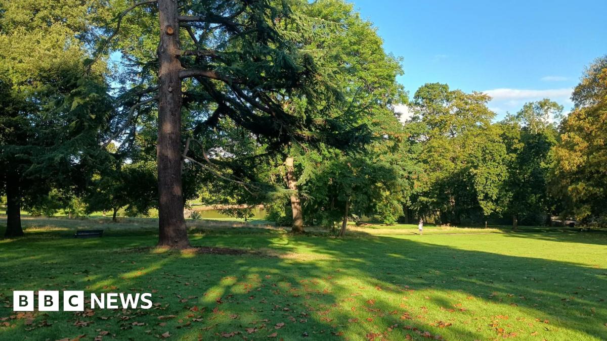 A park in St Georges, Bristol. It has extensive lawns with a number of large trees. It is sunny, with leaves on the grass. A person is walking in the distance.