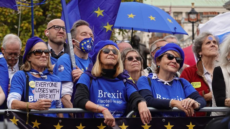 Protests at a Rejoin EU demonstration