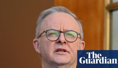 Labor strikes deal with Greens to pass long-awaited overhaul of nature protection laws | Australian politics