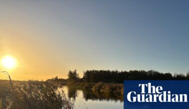 Wetlands and wildlife in the Netherlands: slowing down and connecting with nature in Friesland | Netherlands holidays
