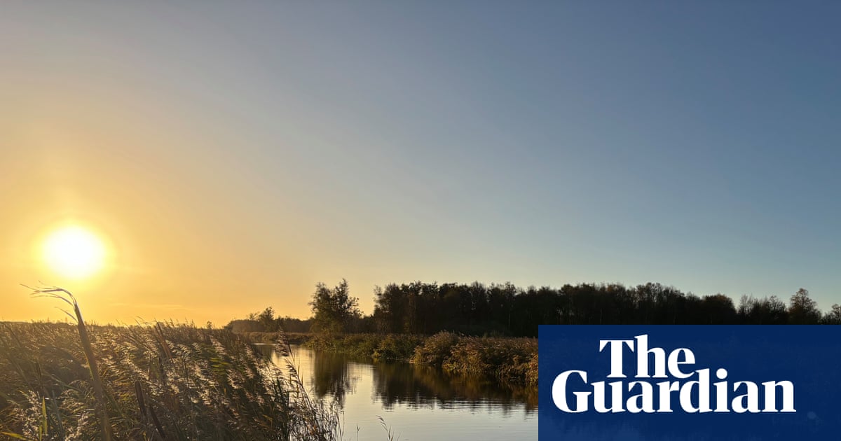 Wetlands and wildlife in the Netherlands: slowing down and connecting with nature in Friesland | Netherlands holidays