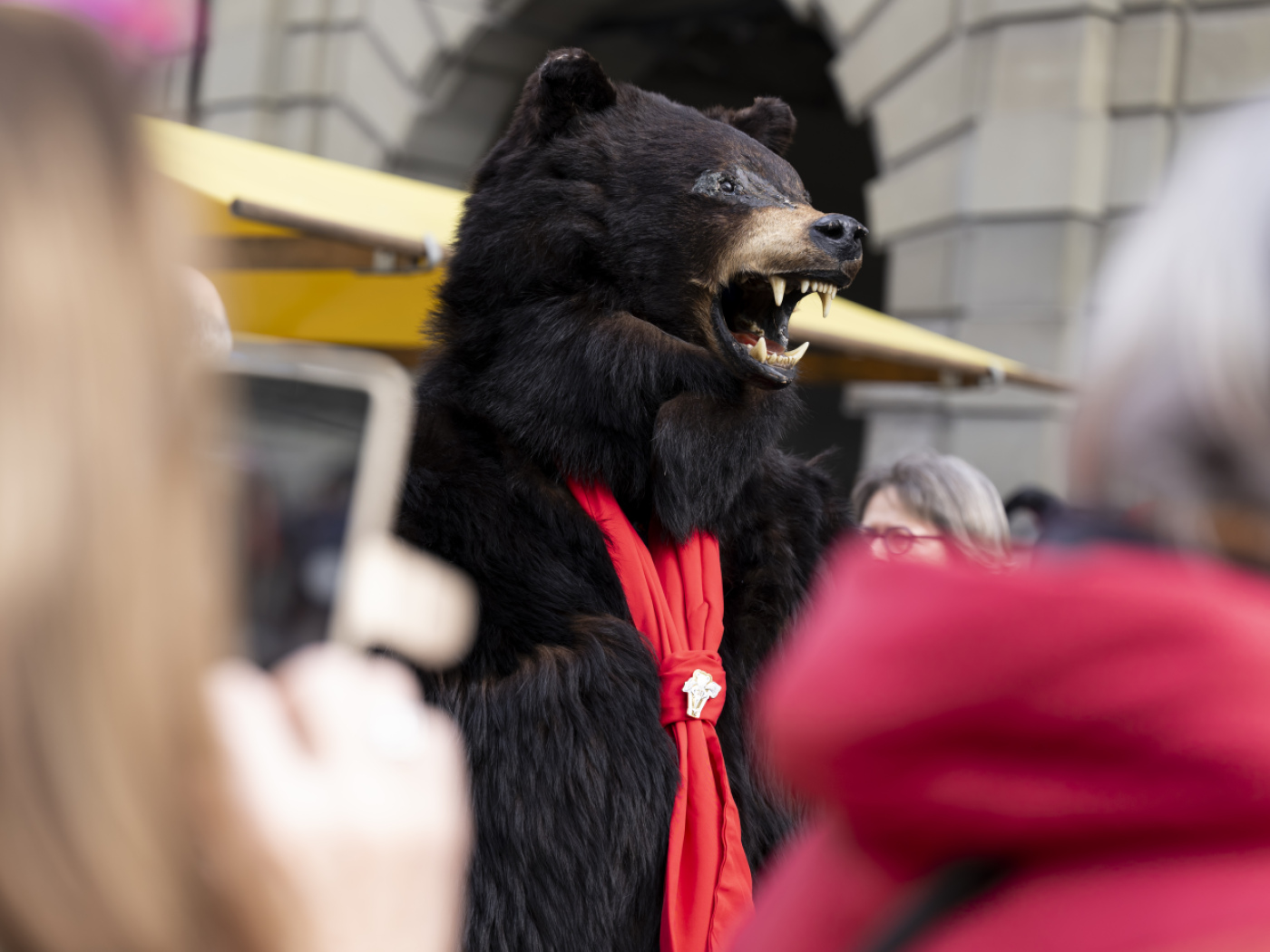 Bernese carnival bear sent into hibernation