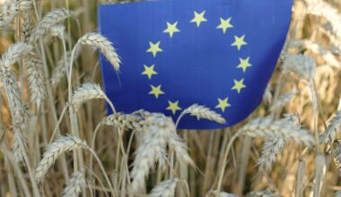 EU Bioeconomy Strategy: Relevance food and beverage