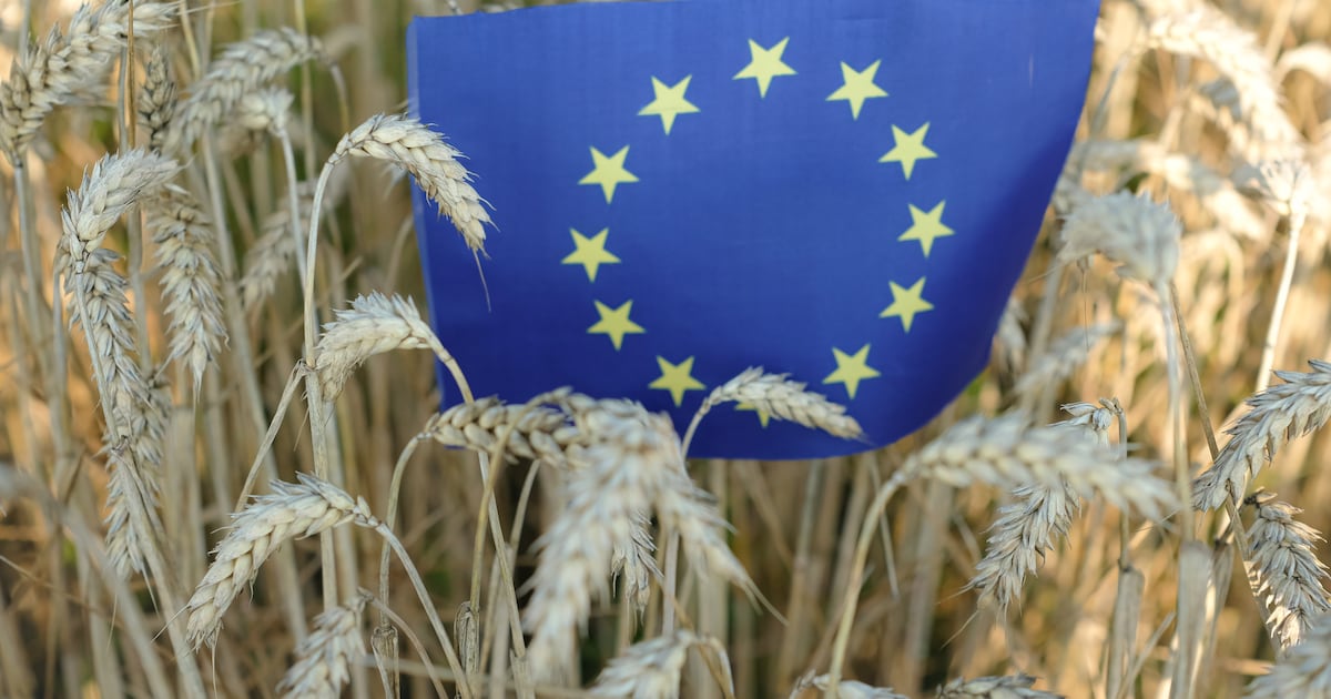 EU Bioeconomy Strategy: Relevance food and beverage