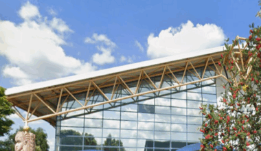 A large interior room with a wooden floor and walls in grey, beige and green. A row of black cross trainers runs from one end of the room to the other
