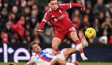 Liverpool debut shows budding Northern Ireland star is on the right track, claims Michael O’Neill