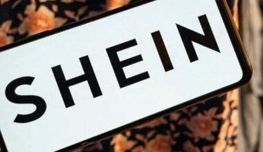 More than 80 MPs call for ban on Shein in France