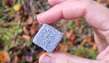 Biotech Firm Raises £4.5M for North American Expansion