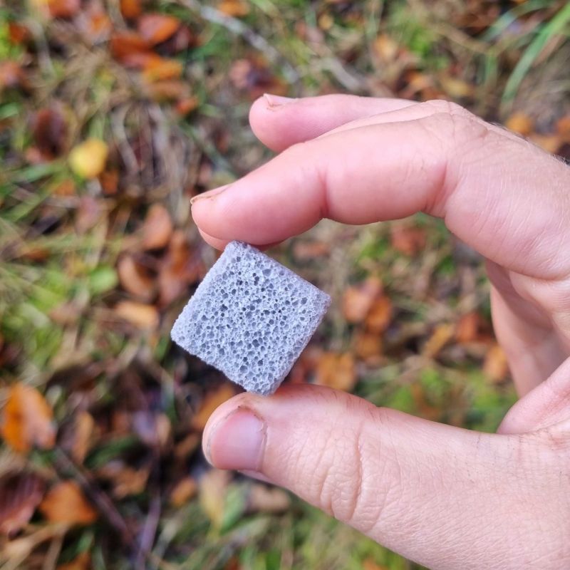 Biotech Firm Raises £4.5M for North American Expansion