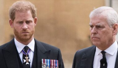 Prince Harry and Andrew's embarrassment with Remembrance Day wreath | Royal | News