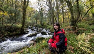 One of Britain's only rainforests at risk of disappearing | UK | News