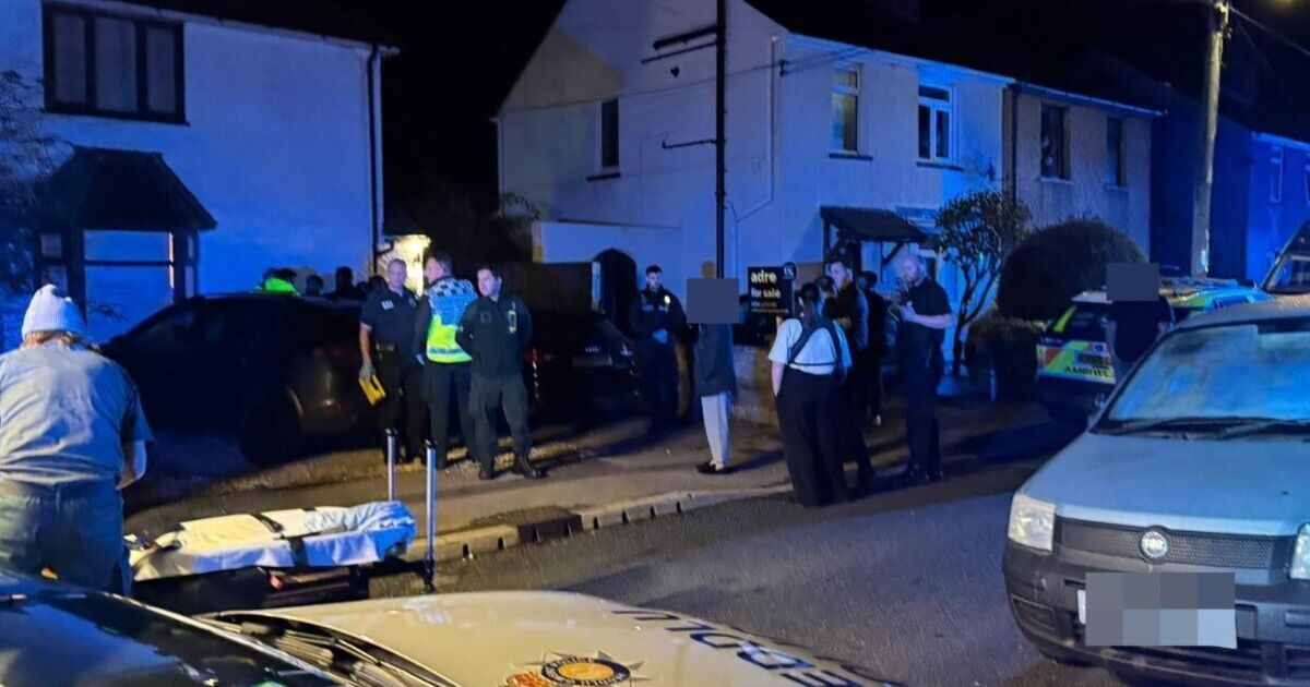 Caldicot LIVE: 9-month-old baby dies in horror dog attack | UK | News