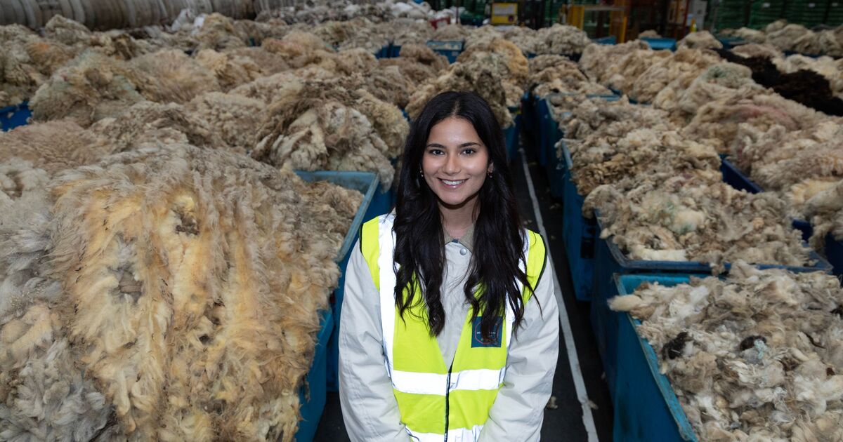 The city that's Britain's wool capital - 75 years as 1 of UK's biggest success stories | UK | News