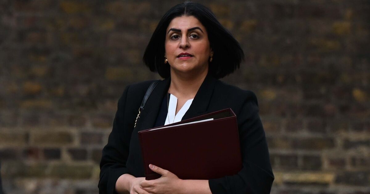 Shabana Mahmood celebrates sending 100 migrants back to France - but 8,000 more arrive | UK | News