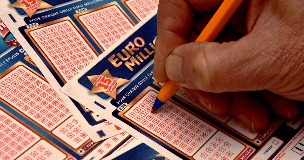 Winning EuroMillions numbers LIVE: Full lottery results on November 25 | UK | News