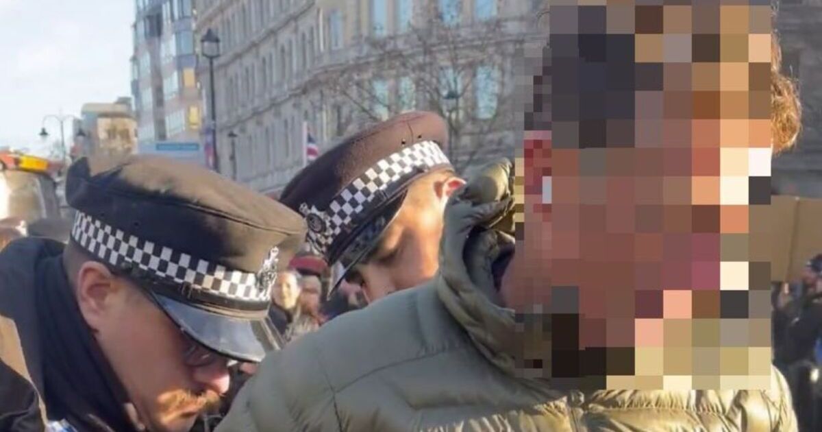 Farmer arrested by Met Police in Budget protest chaos | Politics | News