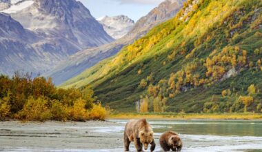 Trump to charge foreigners to visit US beauty spots in latest brutal move | US | News