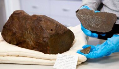 Man convinced rock he found is gold given epic news when it's sawed open | Weird | News