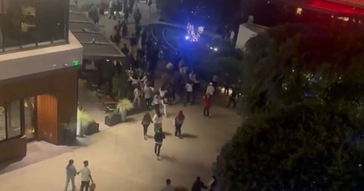 Horror as three people shot at busy shopping mall in Black Friday attack | World | News