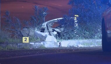 Tragedy as 6 youngsters killed after car crashes and bursts into flames | World | News