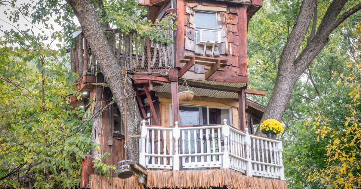 This Mount Joy Township business offers therapy sessions in a tree house [photos, video] | Local News