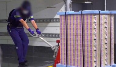 Why Nepal Grows Japan's Cash