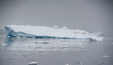 EU Council agrees position on amendment to European climate law