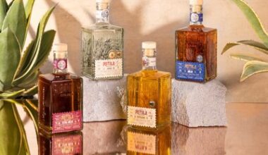 'Spirit of the Year - India' by USA Spirits Ratings 2025: Maya Pistola Agavepura Launches in the UK