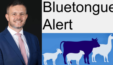 Robbie Butler urges farmers to stay alert after first suspected Bluetongue case in Northern Ireland