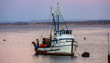 TUV warns of “seismic” threat to Northern Ireland fishing industry as major quota cuts loom