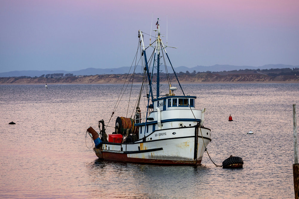 TUV warns of “seismic” threat to Northern Ireland fishing industry as major quota cuts loom