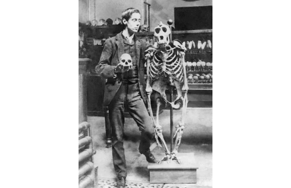 <p>Alpha Historica/Alamy Stock Photo</p>