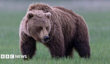 Family having a moment together messing about while winter sea swimming