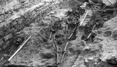 First scientific evidence of Black Death in Edinburgh found on skeleton