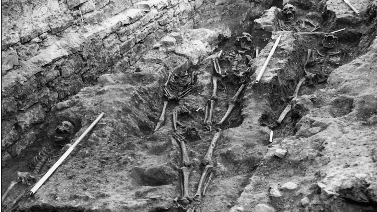 First scientific evidence of Black Death in Edinburgh found on skeleton