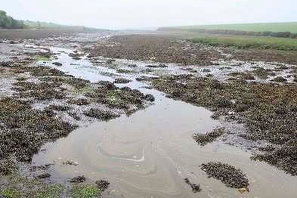 Co Down discharge at Killyleagh. (Credit: James Kilpatrick).
